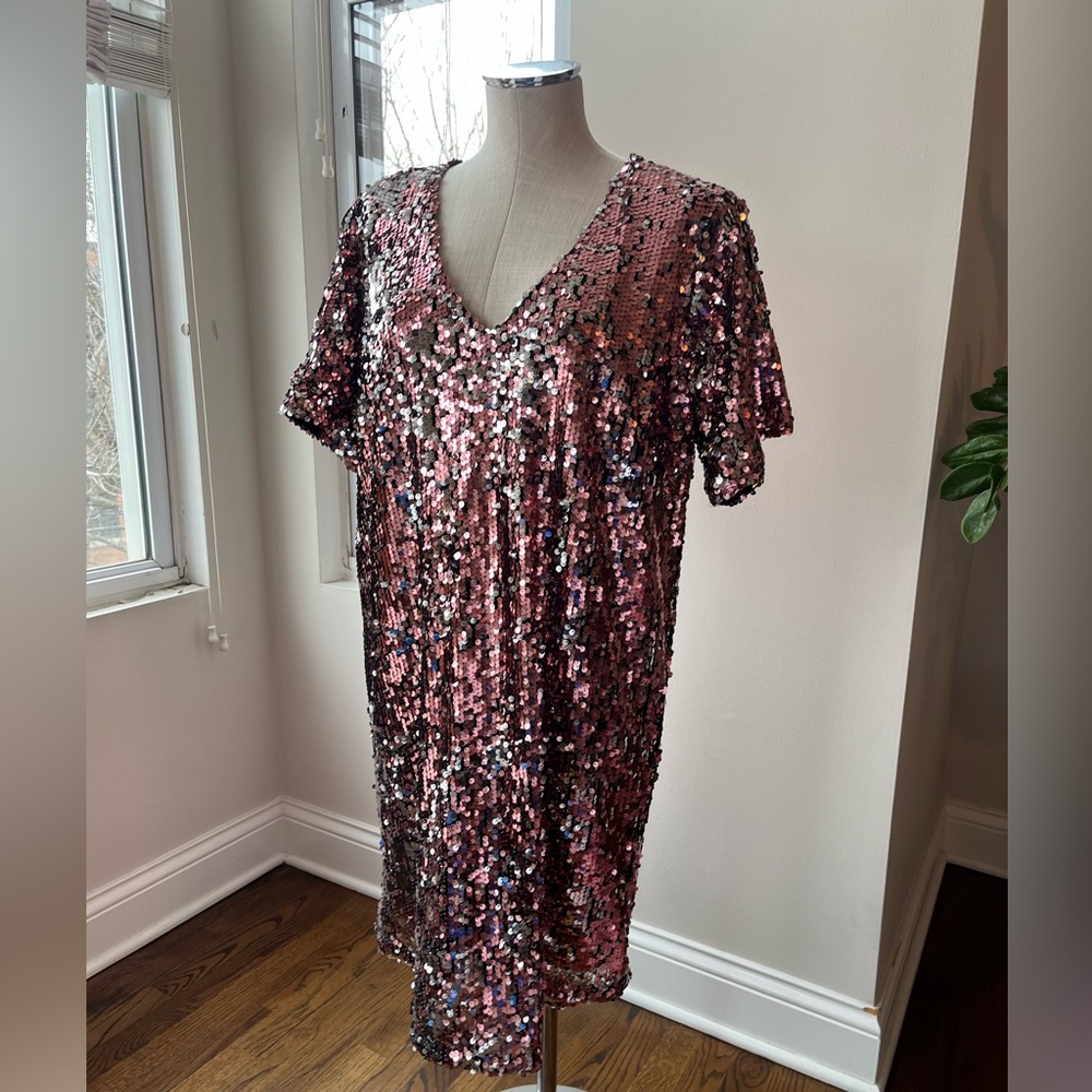 J. Crew Sparkling Mini Dress in Red and Silver